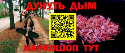 крисы Волгодонск