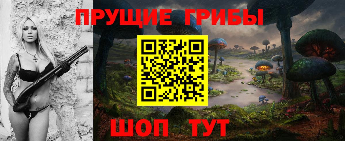 Карачаевск  Псилоцибиновые грибы Magic Shrooms  Псилоцибиновые грибы Psilocybe  Вход с VPN 